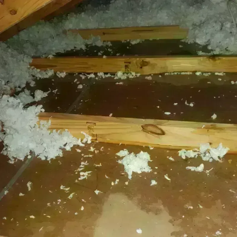 Attic Water Damage in Kimble County, TX