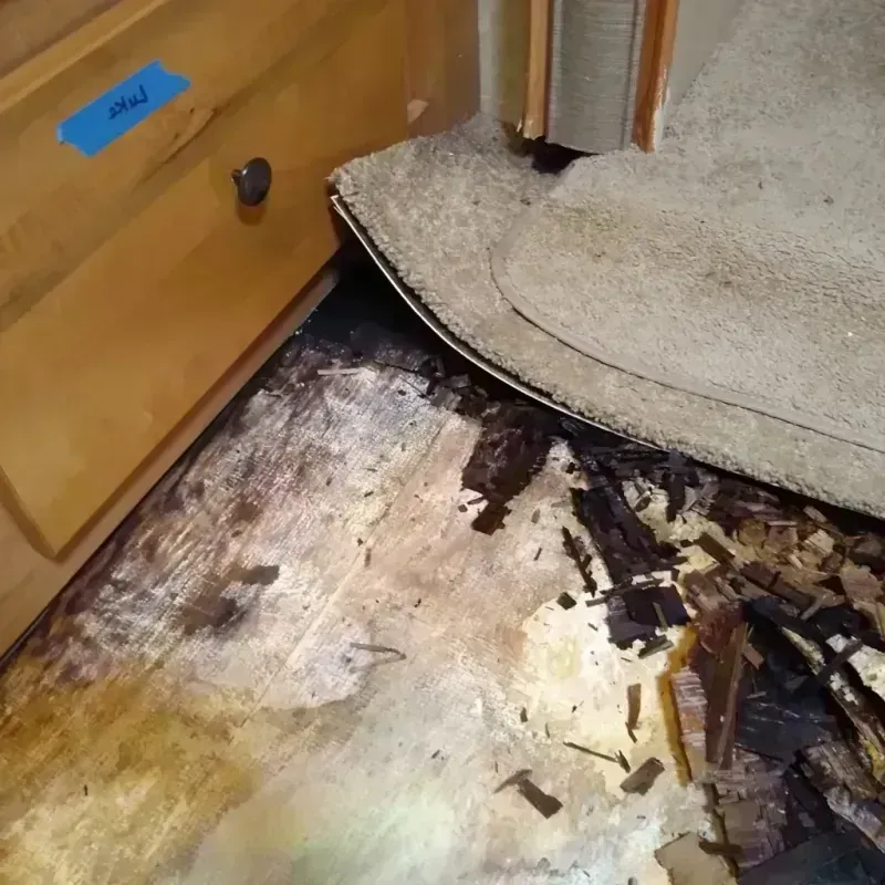 Best Wood Floor Water Damage Service in Kimble County, TX